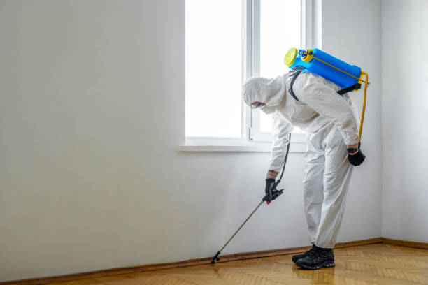 Best Pest Control for Hotels  in Twin Grove, IL